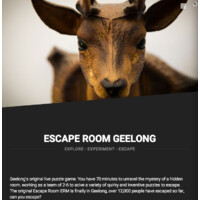 Escape Room Geelong ERG Logo