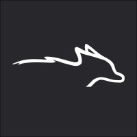 Fox Modular Logo