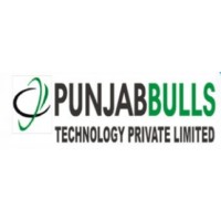 Punjabbulls Technology Pvt Ltd Logo