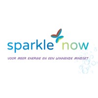 SparkleNow - Cultural Change & Leiderschap Logo