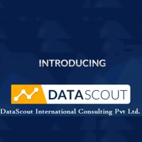 DataScout International Consulting Pvt.Ltd. Logo