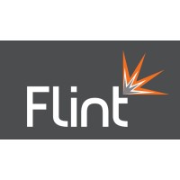 Flint Property Group Ltd Logo