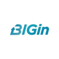BIGin Digital Solutions Logo