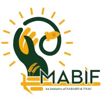 NABARD MABIF Logo