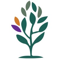 Trillion Trees Australia Logo