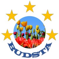 BUDSTA Analytics & Insights Pvt. Ltd. Logo