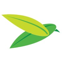 The Baya Company Logo