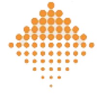 Domint Trade Consultancy Pvt. Ltd. Logo