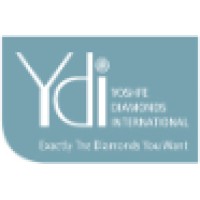 YDI LTD Logo