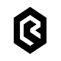 Ray Labs India Logo