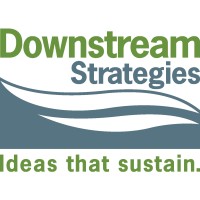Downstream Strategies Logo