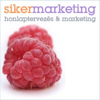 sikermarketing.hu - web design, SEO, content marketing Logo