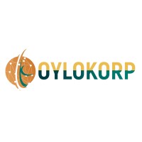 OK Media Logo