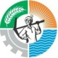 KISAANONLINE AGRIVISION (INDIA) LIMITED Logo