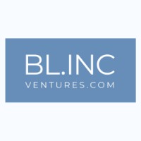 Blincventures.com Logo