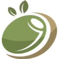 Olive First Management Consulting Logo