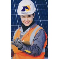 RAYSTEEDS ENERGY PVT LTD Logo