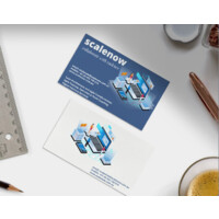 scalenow.com.au Logo