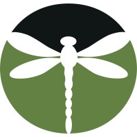 Learn With Dragonfly Logo