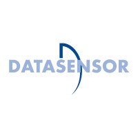 Datasensor India Private Limited Logo