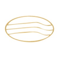 SAN Risk Management Sdn Bhd Logo