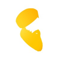 Singh Styled Logo