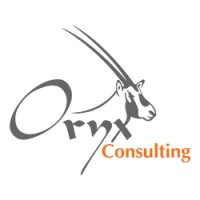 Oryx Consulting FZE Logo