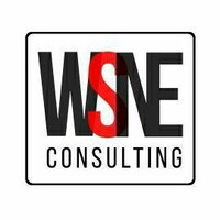 WSNE Consulting Logo