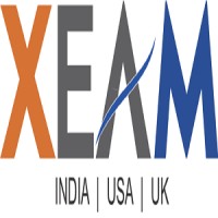 XEAM VENTURES PVT LTD Logo