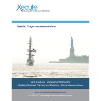 Xecute Business Plan Solutions Logo