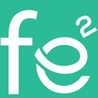 The Financial Economic Express Logo