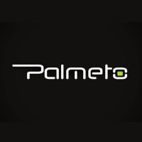 Palmeto Solutions Logo
