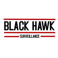 Black Hawk Surveillance Logo