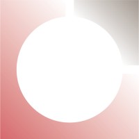 NWS International Logo