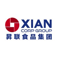Xian Group Logo