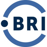 Business Risks International Logo
