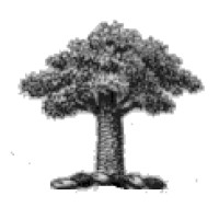 Woolrych Computer Services Ltd Logo