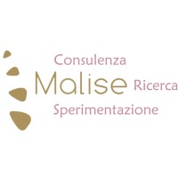 MALISE: il linguaggio del cambiamento, la comunicazione digitale o analogica? Logo
