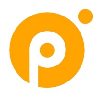 Punt Architecture Studio Logo