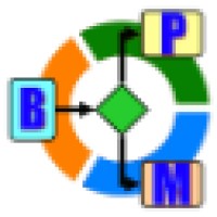 BPM Dynamics Logo