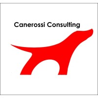 Canerossi Consulting, Inc. Logo