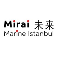 Mirai Marine Istanbul Co. Ltd. (ex-Metro Technical Ship Supply Co. Ltd.) Logo