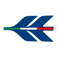 Tecnam Aircraft Logo