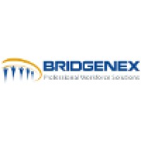 Bridgenex Logo