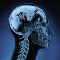 Brainchild Creative Logo