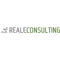 REALECONSULTING.IT Logo