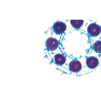 da Vinci Consulting Logo