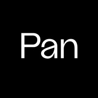 Panidentity Logo