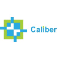 Caliber Embedded Technologies India P Ltd Logo