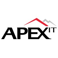 Apex IT Logo